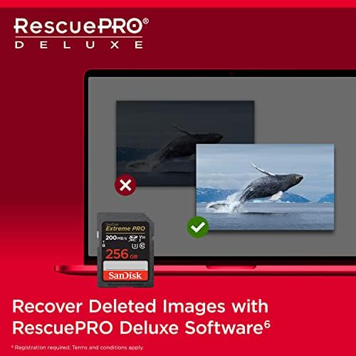SanDisk Extreme Pro SD UHS I 256GB Card for 4K Video for DSLR and Mirrorless Cameras 200MB/s Read & 140MB/s Write