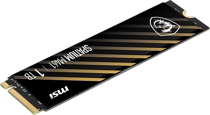MSI SPATIUM M461 1TB M.2 2280 PCIe Gen4 NVMe SSD