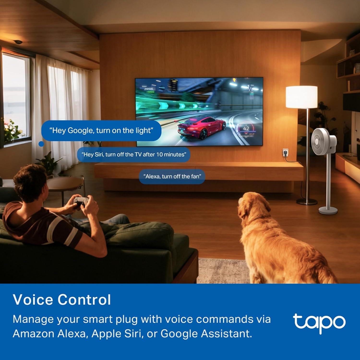 TP Link Tapo P116M Mini Smart Wi-Fi Plug, Energy Monitoring