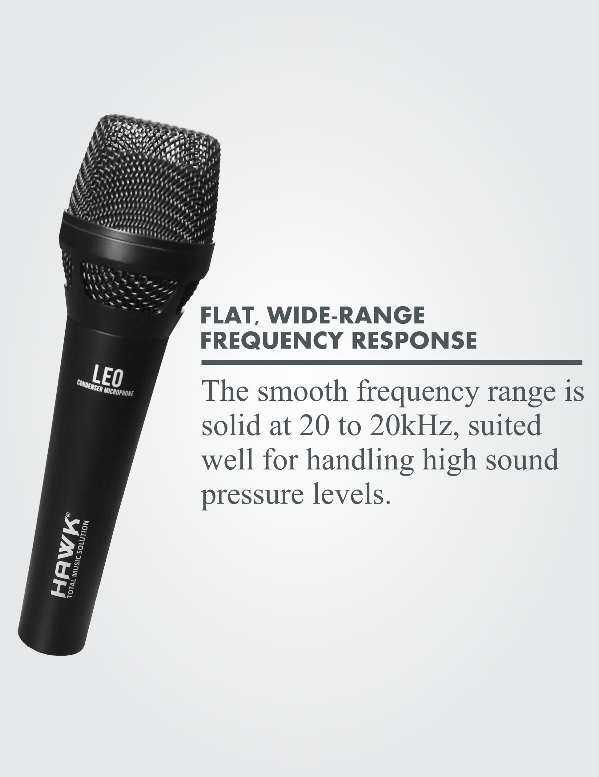 Hawk LEO Condenser Handheld Microphone with Mic Clip, Windscreen & Aluminium Case - GOLCHHA COMPUTERS 