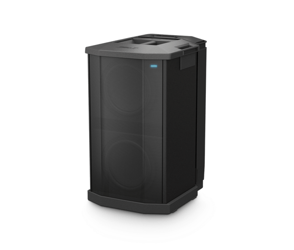 Bose Professional F1 Subwoofer - Golchha Computers