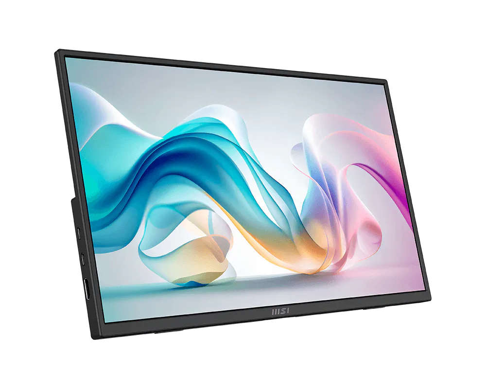 MSI Pro MP165 E6 16" FHD 60 Hz Portable Monitor - GOLCHHA COMPUTERS 